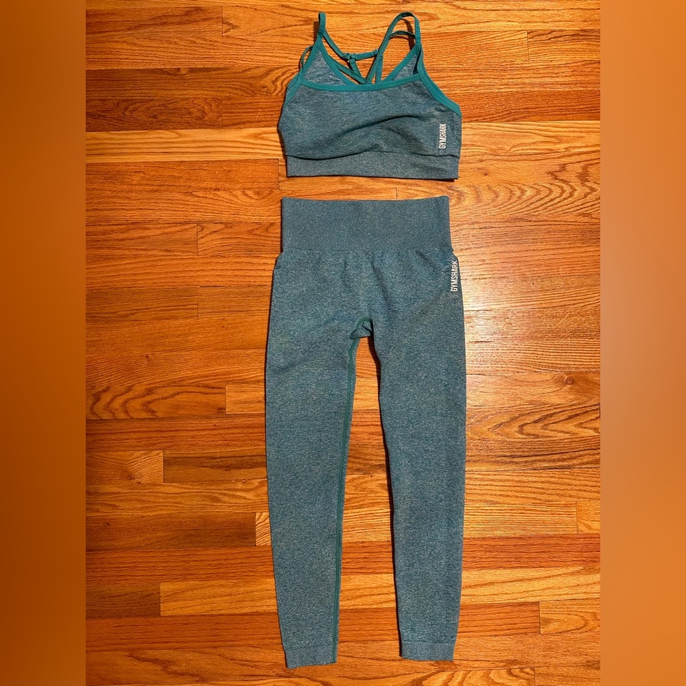 Gym shark: ADAPT FLECK SEAMLESS LEGGINGS AND SPORT BRA